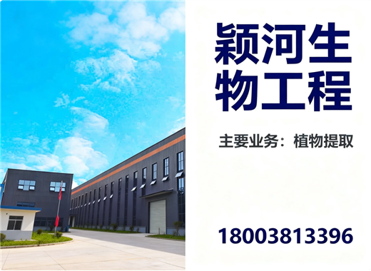 颖河开封线上分站